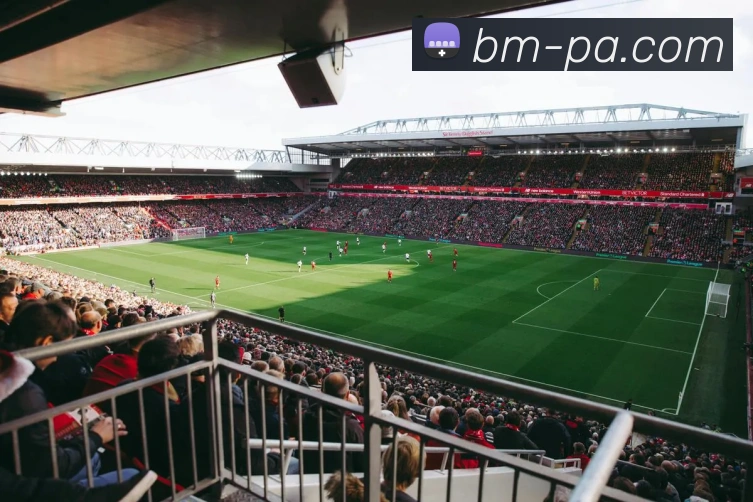 App Interface Preview